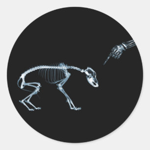 X-Ray Skeletons Blue Bad Dog Ronde Sticker