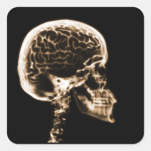 X-RAY SKULL BRAIN - ORANJE VIERKANTE STICKER