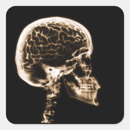 X-RAY SKULL BRAIN - ORANJE VIERKANTE STICKER (Voorkant)