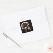 X-RAY SKULL BRAIN - ORANJE VIERKANTE STICKER (Envelop)