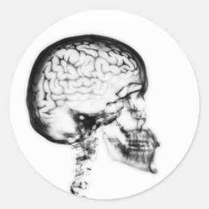 X-RAY SKULL BRAIN - ZWART EN WITTE RONDE STICKER