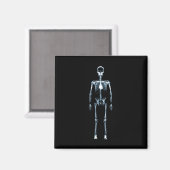 X-Ray Vision Blue Single Skeleton Magneet (Voorkant / Achterkant)
