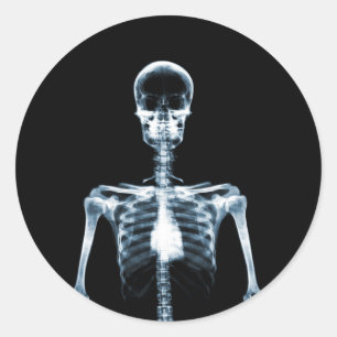 X-Ray Vision Blue Single Skeleton Ronde Sticker
