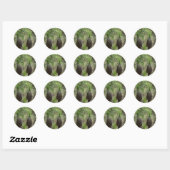 XANTHORRHOEA GRASBOOM STRUIK PLANT AUSTRALIË RONDE STICKER (Vel)