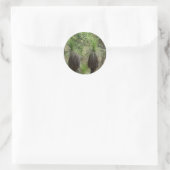 XANTHORRHOEA GRASBOOM STRUIK PLANT AUSTRALIË RONDE STICKER (Tas)