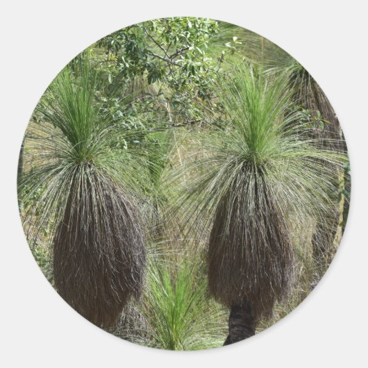 XANTHORRHOEA GRASBOOM STRUIK PLANT AUSTRALIË RONDE STICKER (Voorkant)