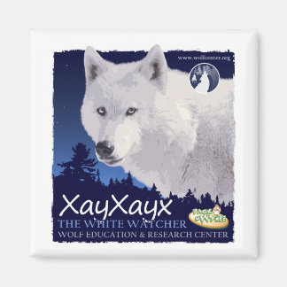 Xayxayx magneet