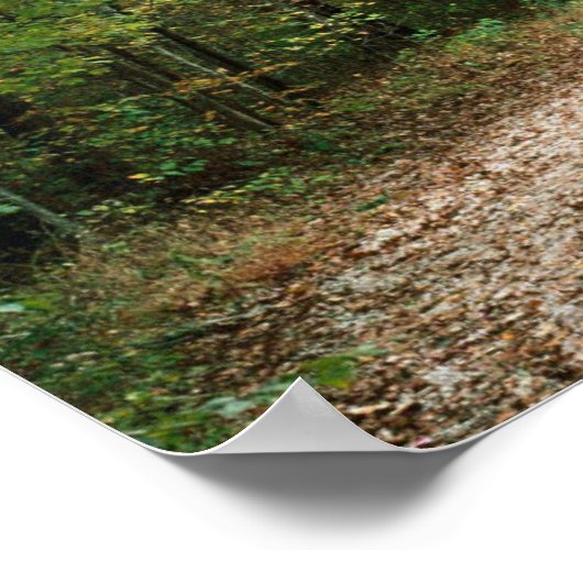 XC RUNNERS ALLEZ LA DISTANCE Poster Papier 16"x 12 (Coin)