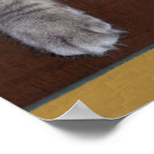 Xena as Pirate poster (Hoek)