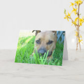 Xena in kaart (Gele Bloem)