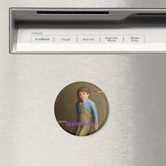 Xhoromag 16 magneet (Insitu (Vaatwasser))