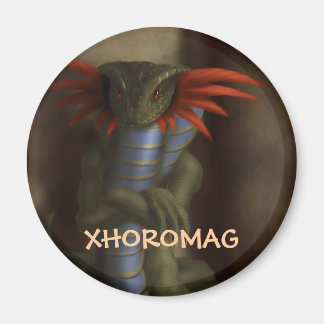 Xhoromag 17 magneet