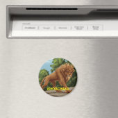 Xhoromag 9 magneet (Insitu (Vaatwasser))