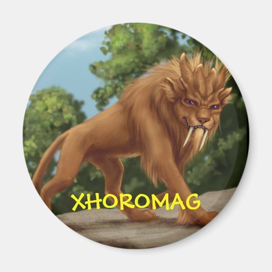 Xhoromag 9 magneet (Voorkant)