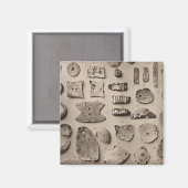 XII de ornamenten van Shell, zo Californië Magneet (Voorkant / Achterkant)