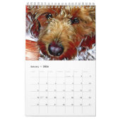 Xine's Pack of Strays & Others Calendar Kalender (Jan 2026)