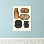 XIX Stone-werktuigen, New Mexico Canvas Afdruk (Insitu (Houten vloer))