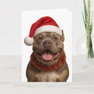 XL Bully in een kerstmuts kerstkaart Kaart