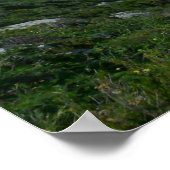 Xlendi Cliffs - Gozo, Malta Poster (Hoek)