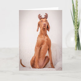 Xmas Card / Christmas Card "Magyar Vizsla" Feestdagen Kaart