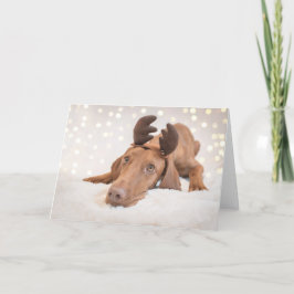 Xmas Card / Christmas Card "Magyar Vizsla" Feestdagen Kaart