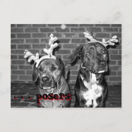 xmas carte recrop recontraste, . . .. des poseurs, (Devant)