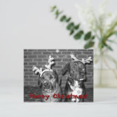 xmas carte recrop recontraster, Joyeux Noël! ! !,. (Debout devant)