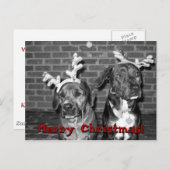 xmas carte recrop recontraster, Joyeux Noël! ! !,. (Devant / Derrière)