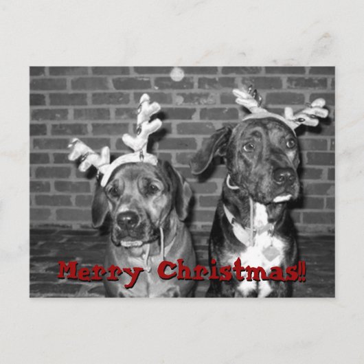 xmas carte recrop recontraster, Joyeux Noël! ! !,. (Devant)