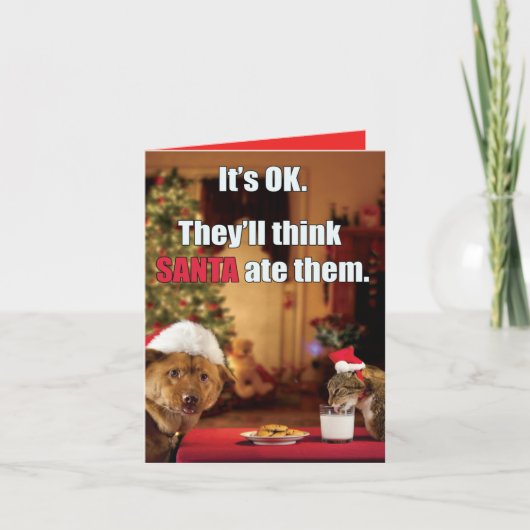 Xmas Grappige Kat en Hond - Denk dat de Kerstman h Feestdagen Kaart (Voorkant)
