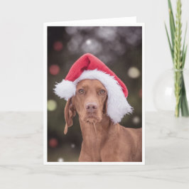 Xmas Kaart / Kerst Kaart "Magyar Vizsla"
