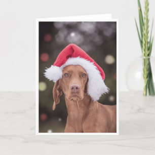 Xmas Kaart / Kerst Kaart "Magyar Vizsla"