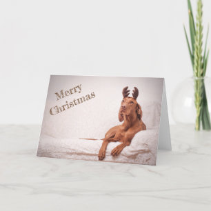 Xmas Kaart / Kerst Kaart "Magyar Vizsla"
