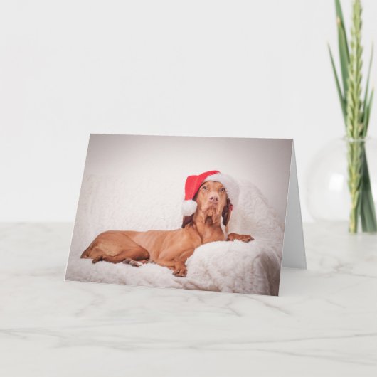 Xmas Kaart / Kerst Kaart "Magyar Vizsla" (Voorkant)