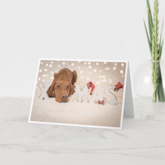Xmas Kaart / Kerst Kaart "Magyar Vizsla" (Voorkant)