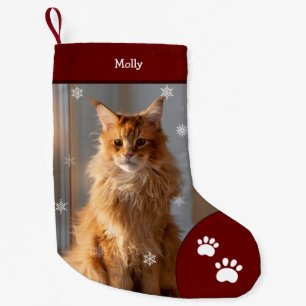 Xmas Kat Foto Vakantie Rood Gepersonaliseerd Groot Kleine Kerstsok
