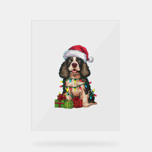 Xmas Lighting Santa Hat