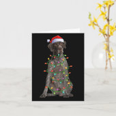 Xmas Lights Santa German Shorthaired Inter Dog Chr Kaart (Gele Bloem)