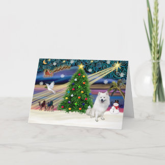 Xmas Magic-American Eskimo Dog Feestdagen Kaart