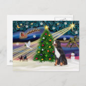 Xmas Magic-Bernese Mountain Dog Feestdagenkaart (Voorkant / Achterkant)