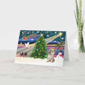 Xmas Magic-Cairn Wheaten Feestdagen Kaart