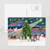 Xmas Magic-Chihuahua's (vier) Feestdagenkaart (Voorkant / Achterkant)