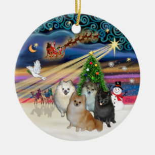 Xmas Magic - Pomeranians (VIER), Erasmus Music - P Keramisch Ornament