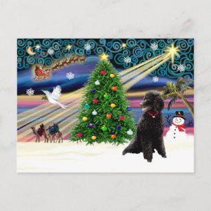 Xmas Magic-Poodle-Std-Black Feestdagenkaart
