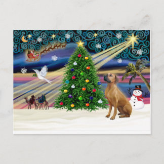 Xmas Magic-Rhodesian Ridgeback-up Feestdagenkaart