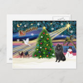 Xmas Magic-Schipperke Feestdagenkaart (Voorkant / Achterkant)