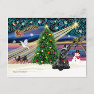 XMAS MAGIC-Scottie2B Feestdagenkaart