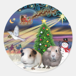 Xmas Magic -T wee Cavia's Ronde Sticker