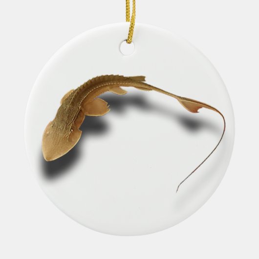 >XMAS ORNAMENT -STURGEON FISH-REAL SHOVELNOSE (Voorkant)
