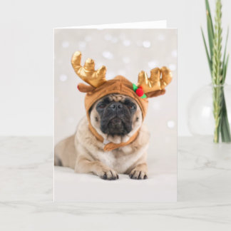 Xmas Pug Feestdagen Kaart